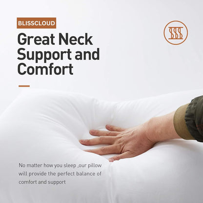 Premium Microfiber Pillow